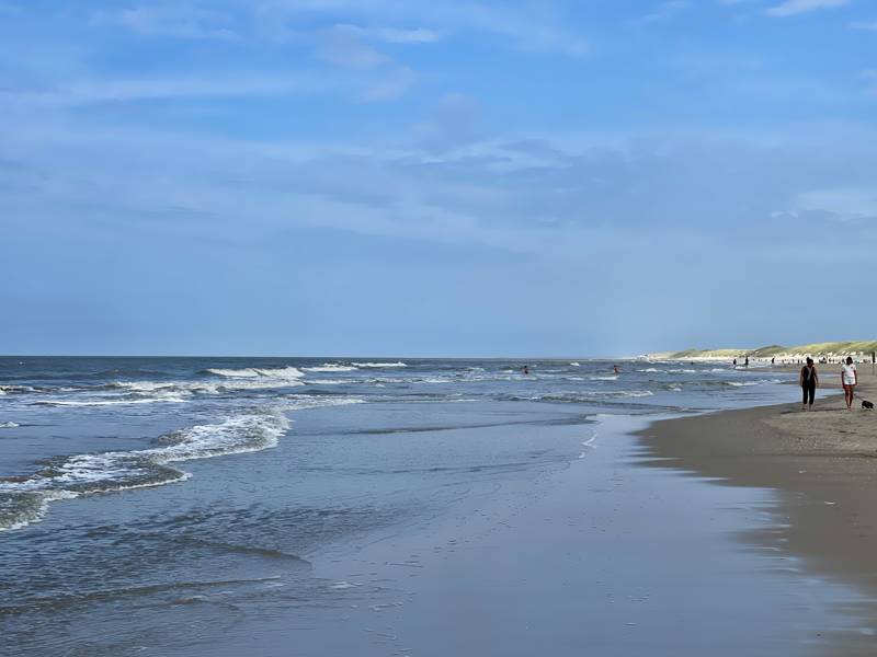 Robben beobachten LekkerNaarZee